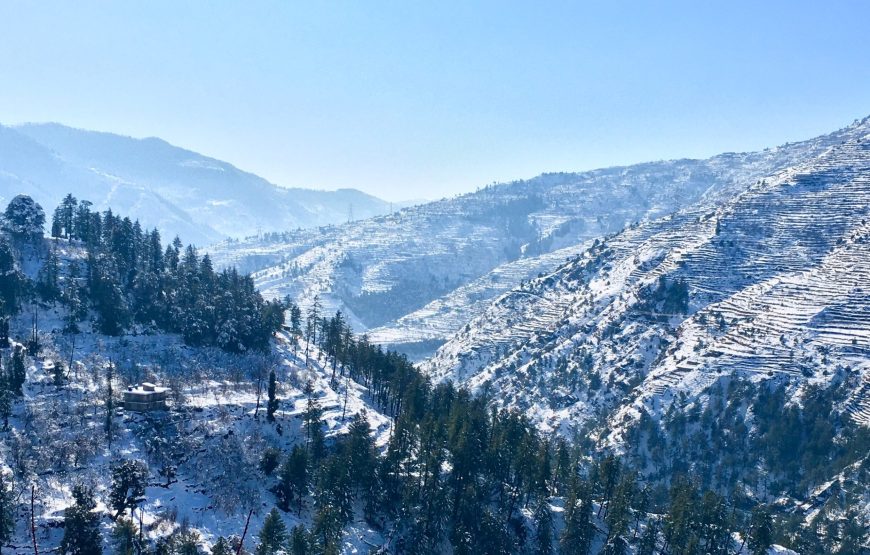 Delhi, Shimla, Manali