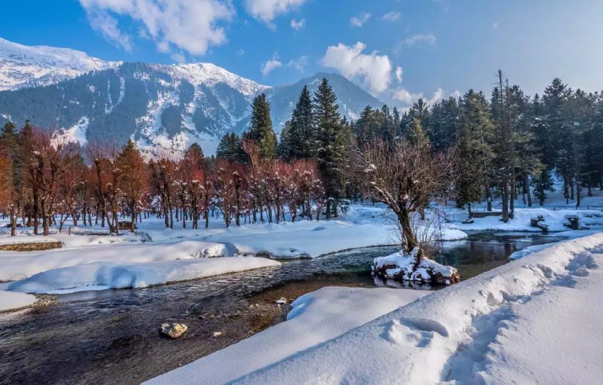 Kashmir tour Package