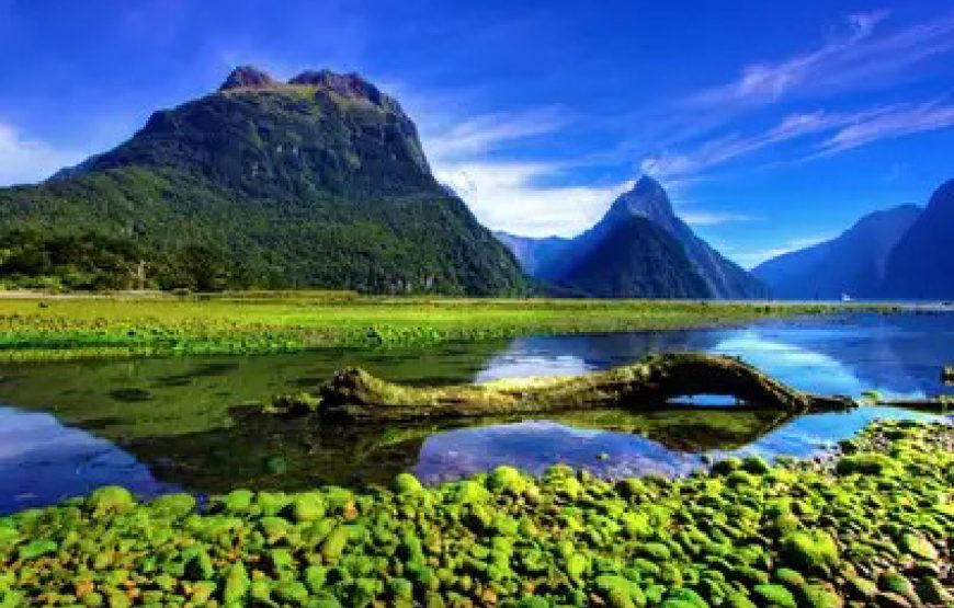 New Zealand Tour Package.