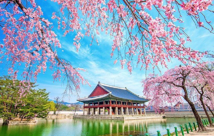 South Korea Tour Package