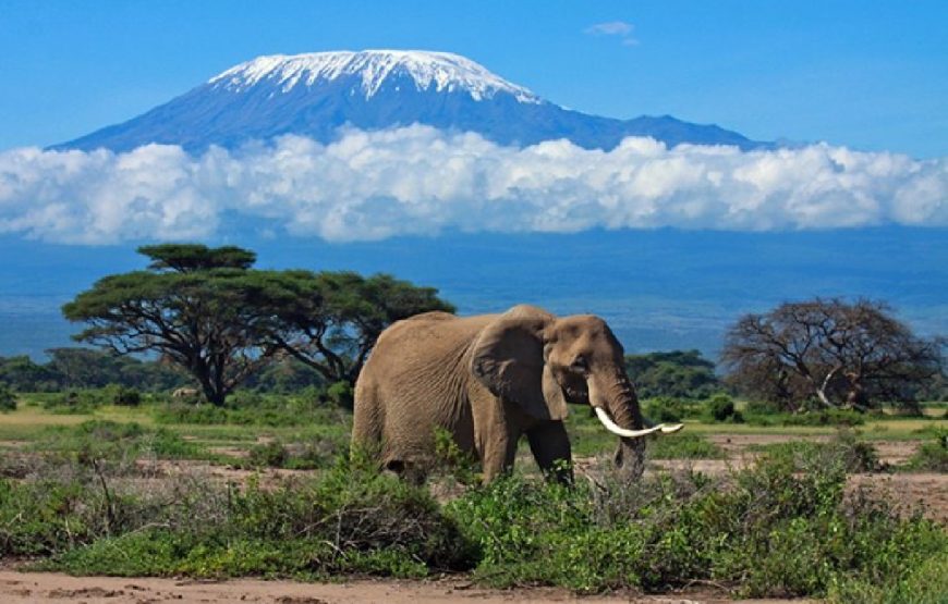 Tanzania Tour Package