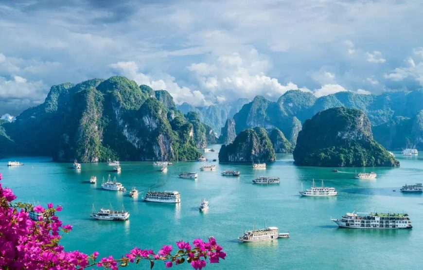 Vietnam tour Package