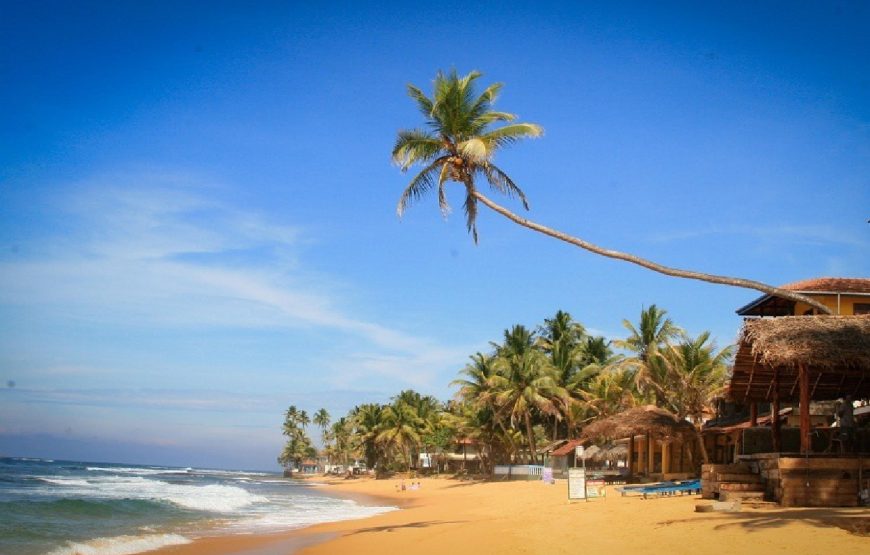 Sri Lanka Tour Package