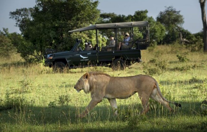 The Wild African Safari Tour Package