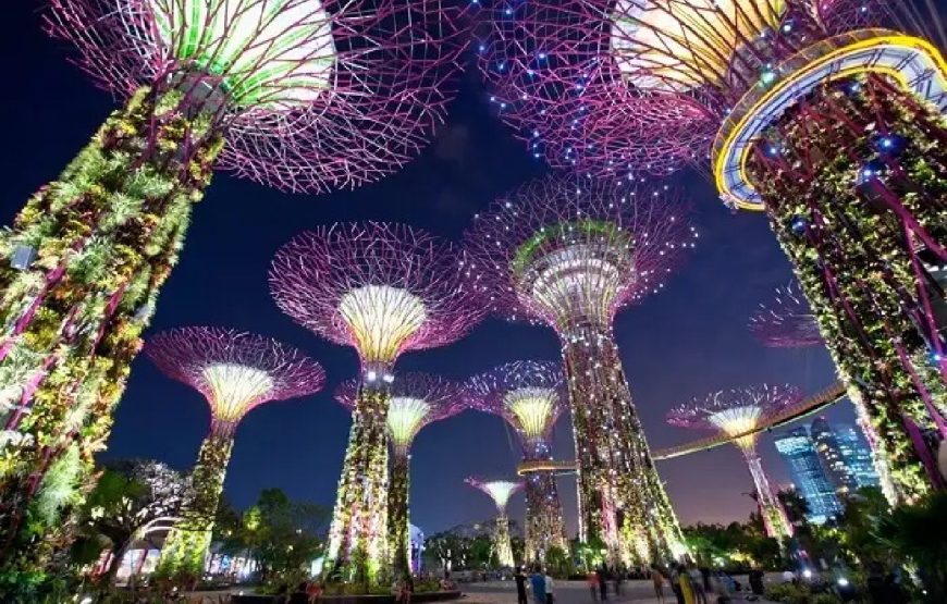 Most Reasonable Singapore Tour Packages