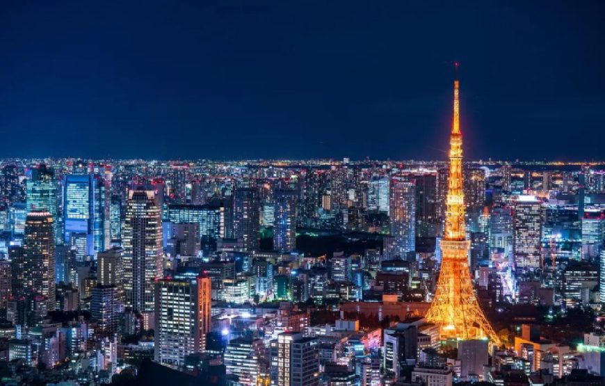 Tokyo and Fuji Tour Package