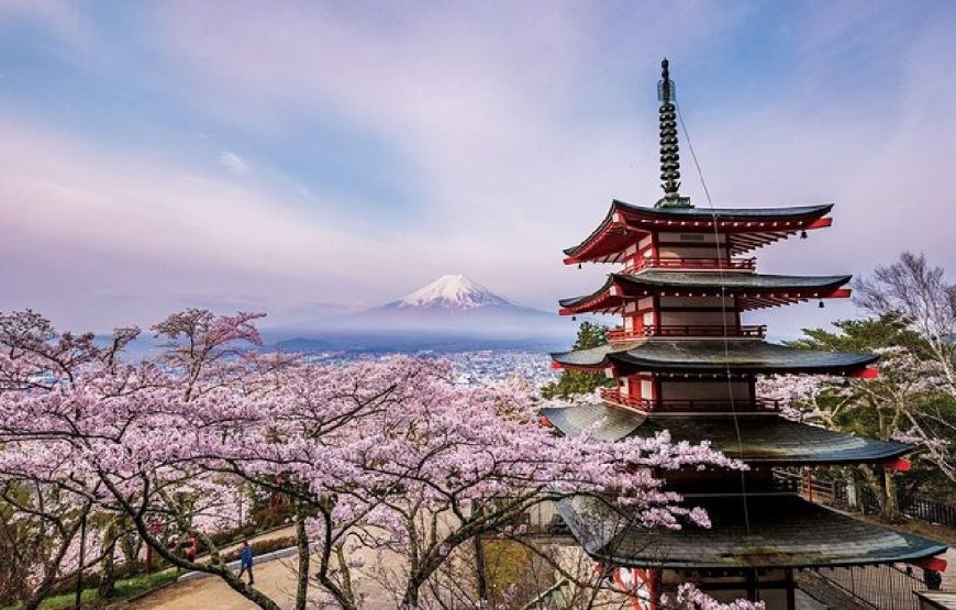 Tokyo and Fuji Tour Package